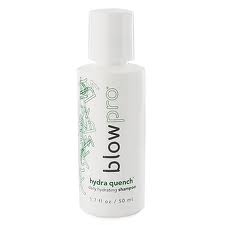 Blowpro Hydra Quench Daily Hydrating Shampoo 1.7 oz-0