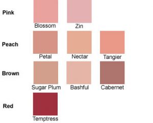 Youngblood Pressed Mineral Blush Nectar 3 gr-0