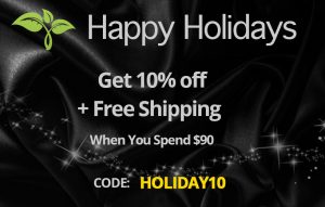 holiday UltraBeauty