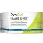 DevaCurl Heaven-in Hair Moisture Treatment