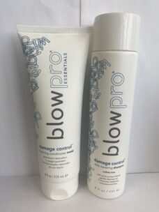 Blowpro Damage Control Daily Repairing Duo (Shampoo+Conditioner Mask) 8 Oz. UltraBeauty.shop