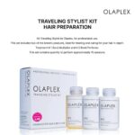 Olaplex Professional Traveling Stylist Kit